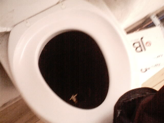 The Throne Hazard