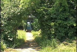 Sayre home in Summer