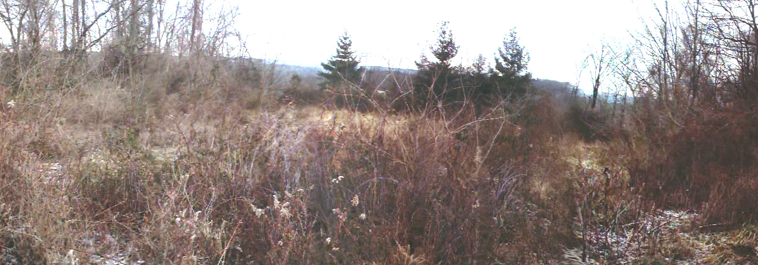 SouthWest View