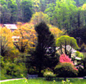 DeerRock GroupHouse